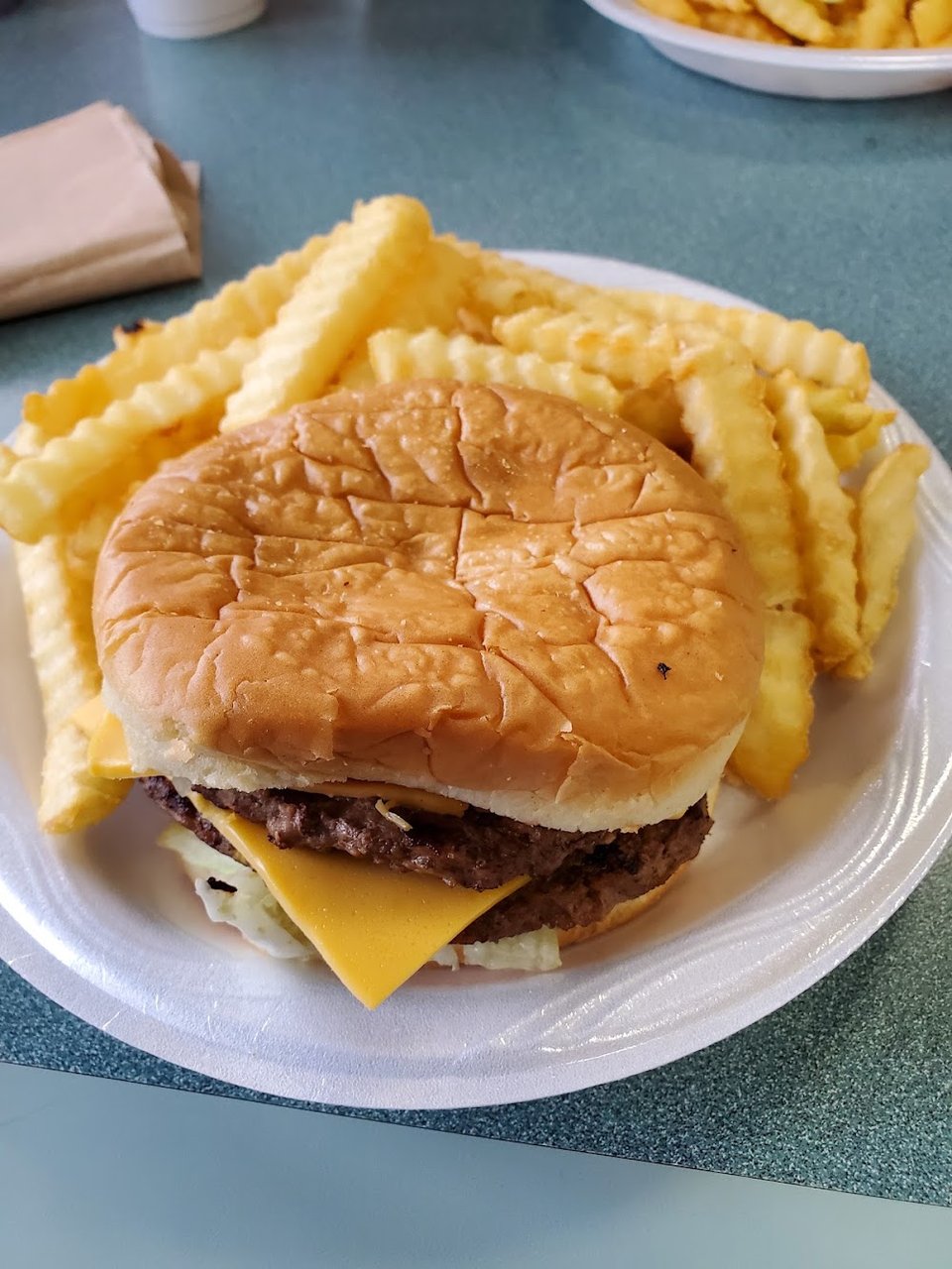 Hot dog and fries on a diner tray.